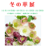 冬の華展